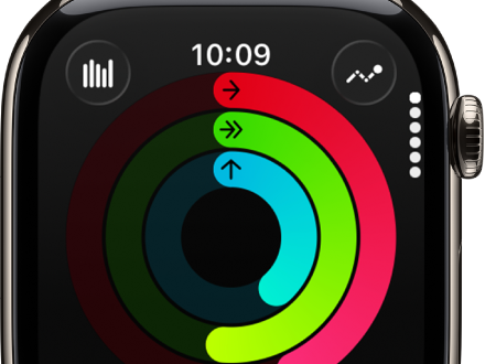 健康管理・運動で元を取る