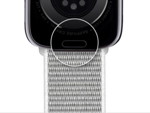 Apple Watch本体背面のバンドリリースボタンの位置を示した画像